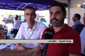 فلاحة/ أصناف العنب بالجزائر..muscat الأكثر إنتشارا وred glob للتصدير