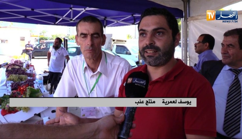 فلاحة/ أصناف العنب بالجزائر..muscat الأكثر إنتشارا وred glob للتصدير
