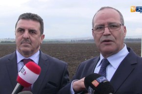 بوعزقي يشدد على ضرورة جعل قطاع الفلاحة بديلا خارج قطاع المحروقات