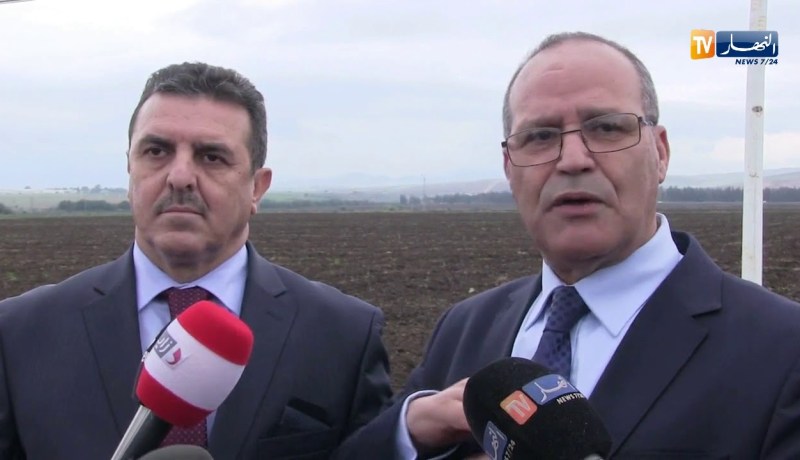 بوعزقي يشدد على ضرورة جعل قطاع الفلاحة بديلا خارج قطاع المحروقات