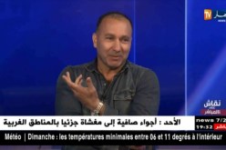 فريد بلملاط: اتمنى العمل في الجزائر لكن الكرة الجزائرية لم تتطور مثل الماضي
