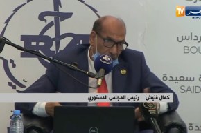 فنيش: إلغاء مقترح منصب نائب رئيس الجمهورية قرار صائب من لجنة الخبراء