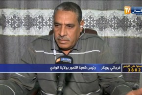 فرجاني أبوبكر:  شعبة التمور تعاني و نطالب وزير الفلاحة بالتدخل