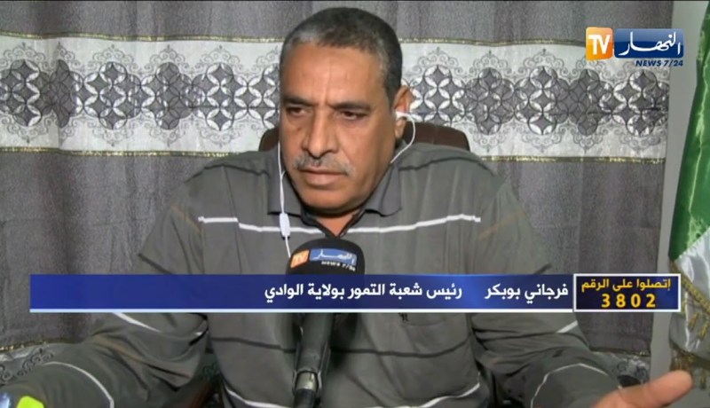 فرجاني أبوبكر:  شعبة التمور تعاني و نطالب وزير الفلاحة بالتدخل