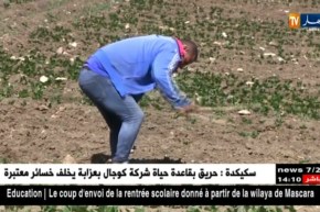 بجاية/ شبان من صغار الفلاحين يحولون أرضا قاحلة إلى جنة خضراء