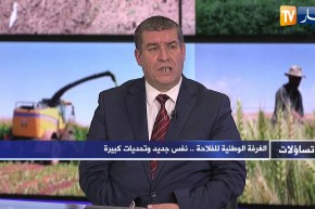 محمد يزيد حمبلي: الفلاحة الصحراوية هو خيار إستراتيجي للأمن الغذائي