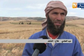 الشلف: تراجع كبير في نسب إنتاج البقوليات والسبب شح الأمطار والأمراض