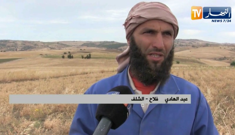 الشلف: تراجع كبير في نسب إنتاج البقوليات والسبب شح الأمطار والأمراض