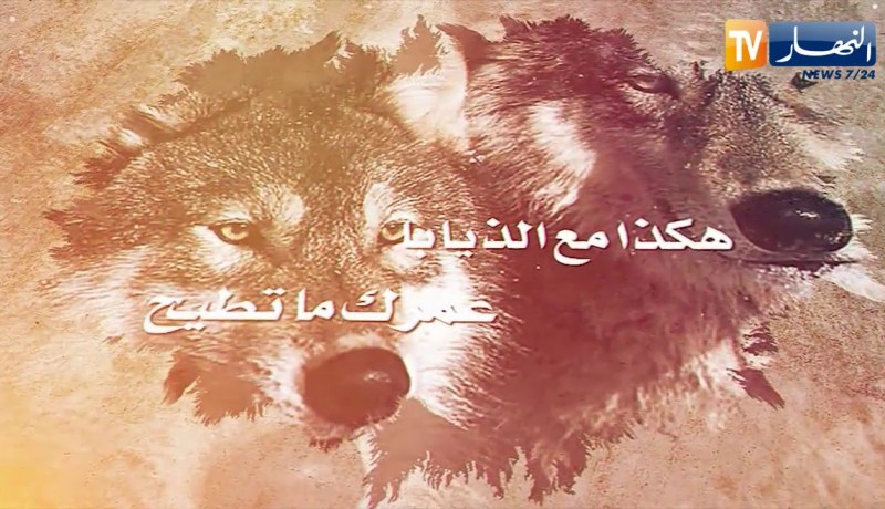 قالو ناس زمان/” أمشي على أساس صحيح وكون صريح “