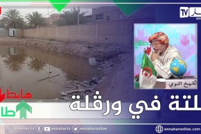 الشيخ النوي: السلطات المحلية ببني ثور حفروا حفرة وخلاوها.. راهم يربوا في البعوض