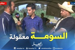 موالون من سوق الشراقة لبيع المواشي.. الإقبال موجود والأسعار في المتناول