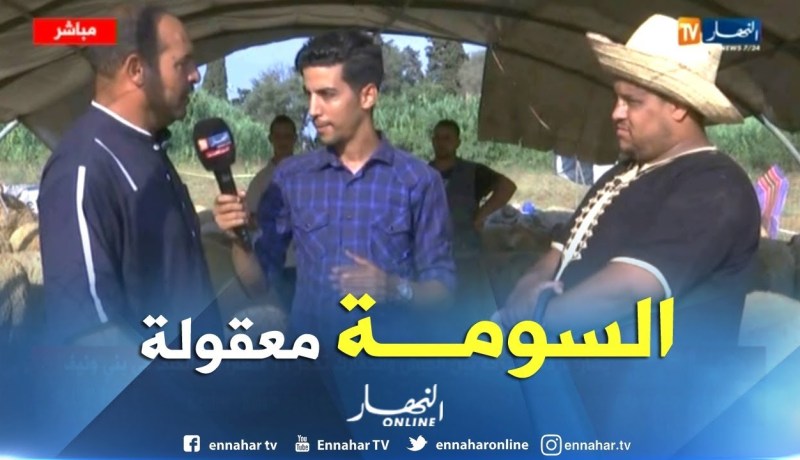 موالون من سوق الشراقة لبيع المواشي.. الإقبال موجود والأسعار في المتناول