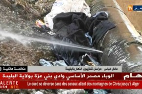 مراسل النهار إلى البليدة: “الوادي يشمل مجاري تبدأ من جبال الشريعة تصل للعاصمة”