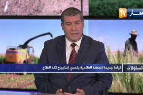 محمد يزيد حمبلي: كل حبة قمح مستوردة هو مشروع قمح مسموم والبلاد تملك كل الإمكانيات لرفع التحدي