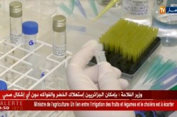 صحة/ هل تملك الجزائر مخطط صحي لمكافحة الأوبئة ؟