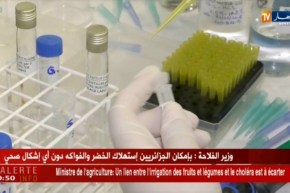 صحة/ هل تملك الجزائر مخطط صحي لمكافحة الأوبئة ؟