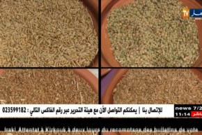 تيزي وزو: ذراع الميزان ..أولى المناطق الزراعية في إنتاج الحبوب