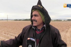 مستغانم: فلاحون مهددون بالطرد بعد إستصلاح أراضي فلاحية لأزيد من 30 سنة