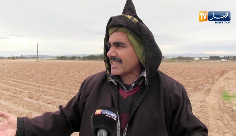 مستغانم: فلاحون مهددون بالطرد بعد إستصلاح أراضي فلاحية لأزيد من 30 سنة