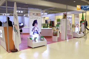 طالع هابط: المشروع الميت في العامرة بالبليدة..” وين رايحين بها” !!