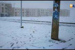 ولاية الجلفة تكتسي الحلة البيضاء..