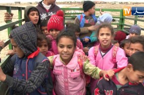 عين تموشنت: تلاميذ دوار زحزوح.. البوط سلاحهم و شاحنات نقل الأغنام وسيلة نقلهم