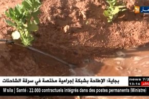 تمنراست : مستثمرات فلاحية ببلدية أبلسة ترفع التحدي