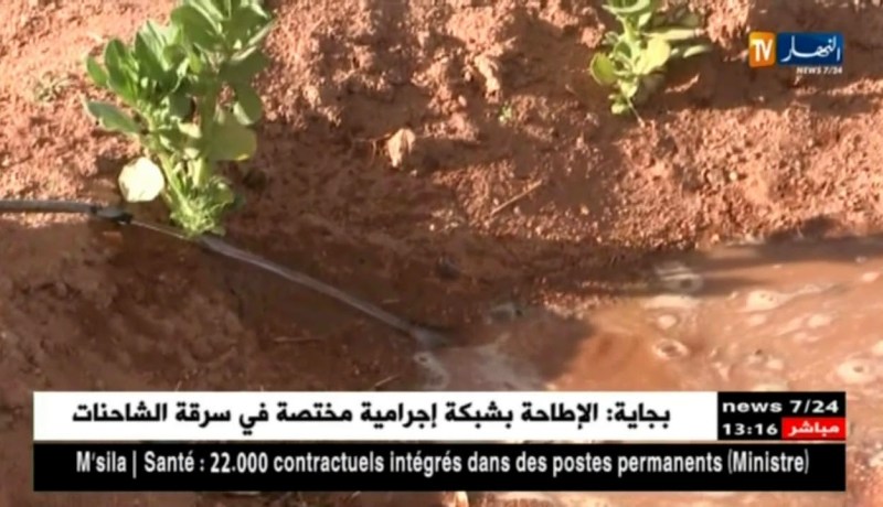 تمنراست : مستثمرات فلاحية ببلدية أبلسة ترفع التحدي