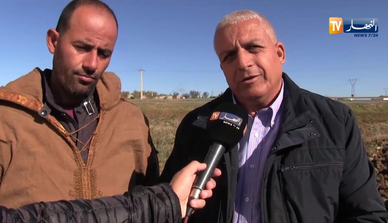 البويرة/ إنتاج وفير لمادة البطاطا ومشكل التسويق يهدد مستقبل الشعبة