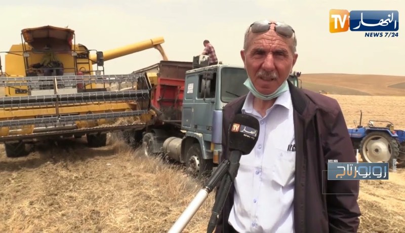 روبورتاج/ عمال الحصاد.. تشبث بسنابل وثمار الأرض