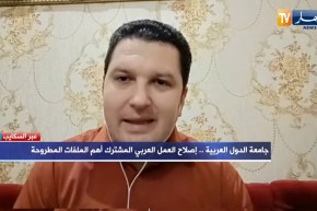 محمد صادق إسماعيل: لابد من إصلاح ميثاق الجامعة العربية وتقليص صلاحيات بعض المستشارين