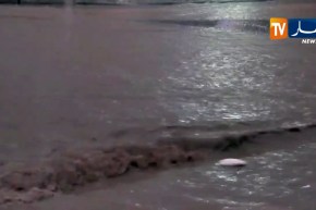 أم البواقي/ الأمطار الرعدية تغمر شارع حي المقاومين بعين البيضاء