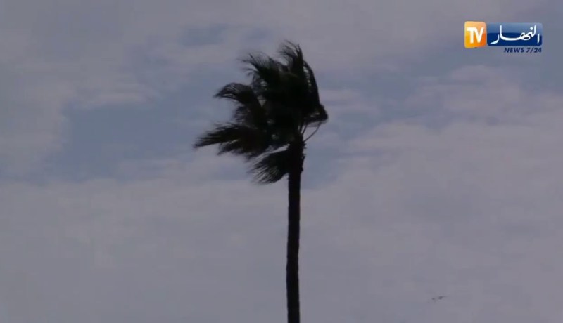 طقس: رياح قوية على المناطق الغربية والشرقية والجنوبية مرفوقة بتطاير الرمال
