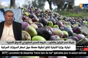 زيت “أزمور” بالبويرة يفتك المرتبة الأولى في مسابقة أجود زيت الزيتون