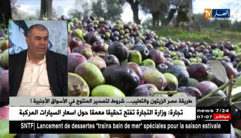 زيت “أزمور” بالبويرة يفتك المرتبة الأولى في مسابقة أجود زيت الزيتون