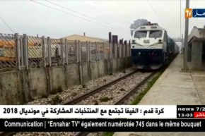 العاصمة/ عودة حركة سير القطارات بعد إنحراف أحدهما بباب الزوار