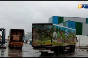 ملبنة الصومام بأقبو تصدّر 60 طنا من الألبان سنويا