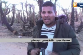 فلاحة: غياب ثقافة التأمين ضد الكوارث يهدّد النشاط الفلاحي