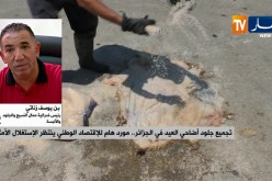 تجميع جلود أضاحي العيد في الجزائر..مورد هام للإقتصاد الوطني ينتظر الإستغلال الأمثل