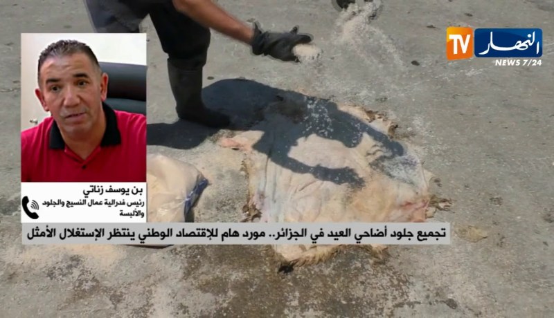 تجميع جلود أضاحي العيد في الجزائر..مورد هام للإقتصاد الوطني ينتظر الإستغلال الأمثل