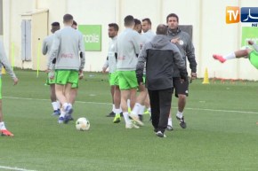 الخضر ضمن المستوى الثاني في قرعة كان 2019 ويتجنبون المغرب ونيجيريا