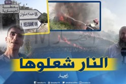 صريح جدا/ حرائق الغابات مستمرة..الثروة الغابية والحيوانية في خطر