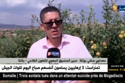 باتنة: تساقط حبات البرد.. منتجو التفاح يتكبدون خسائر كبيرة