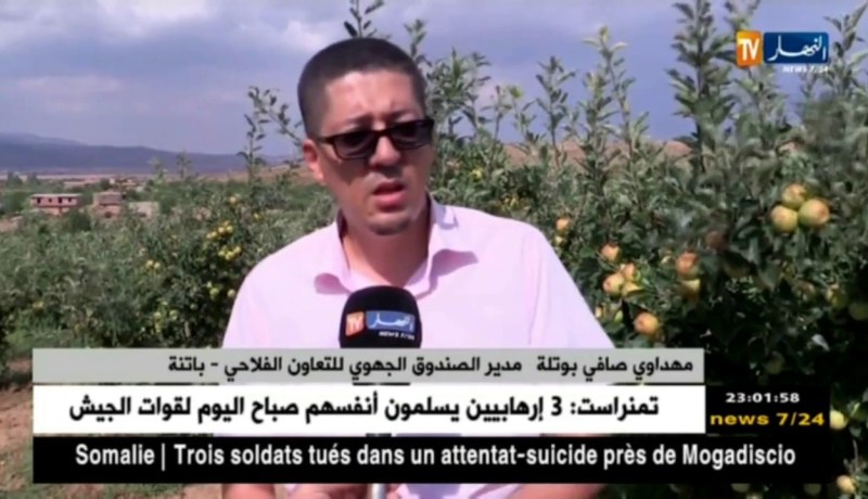 باتنة: تساقط حبات البرد.. منتجو التفاح يتكبدون خسائر كبيرة