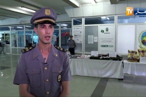 جمارك: حجز 10.5 قنطار مأكولات قطط بميناء نقل المسافرين بالعاصمة