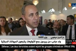 إنطلاق فعاليات الطبعة الأولى لسوق الفن بقصر الثقافة