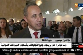 إنطلاق فعاليات الطبعة الأولى لسوق الفن بقصر الثقافة