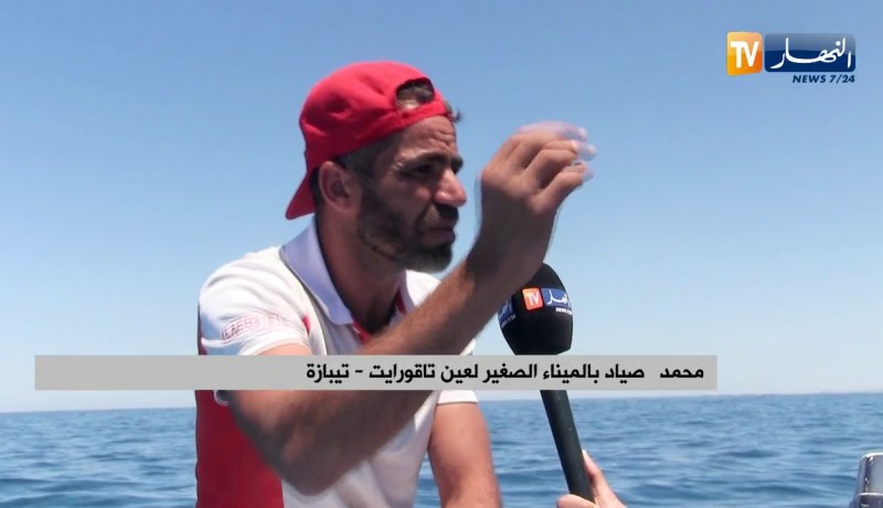 تيبازة: ميناء عين تاقورايت أكواريوم طبيعي لكن الصيادون يستنجدون !!