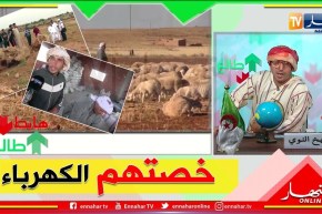 الشيخ النوي: فلاحو سعيدة يعانون.. العجب راه صاري في البلاد