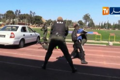 الناحية العسكرية الثانية بوهران تنظم أبوابا مفتوحة على الرياضة العسكرية